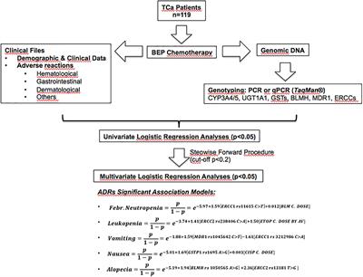 Association Study Among Candidate Genetic Polymorphisms and Chemotherapy-Related Severe Toxicity in Testicular Cancer Patients